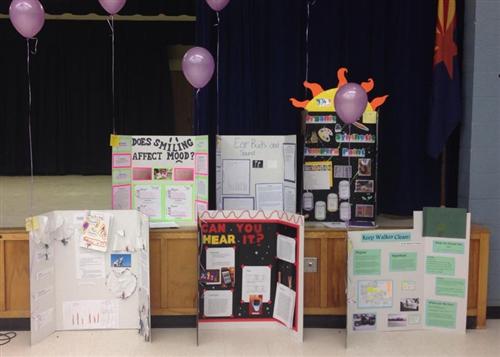 Science Fair 2014 